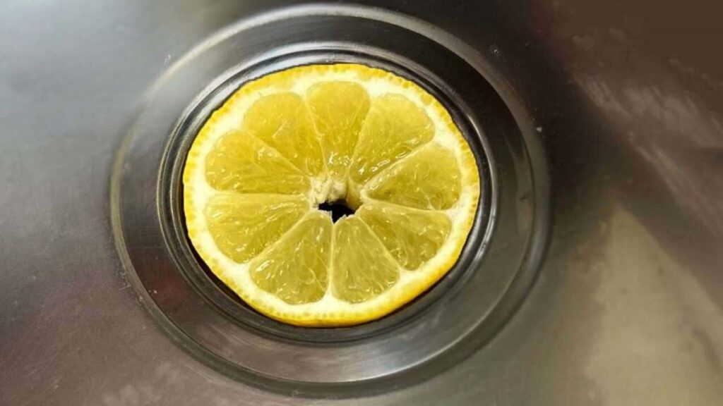 Mettez une tranche de citron dans l'égout et vous pourrez dire adieu à ce problème très répandu.