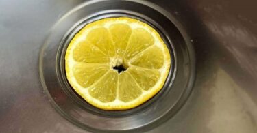 Mettez une tranche de citron dans l'égout et vous pourrez dire adieu à ce problème très répandu.