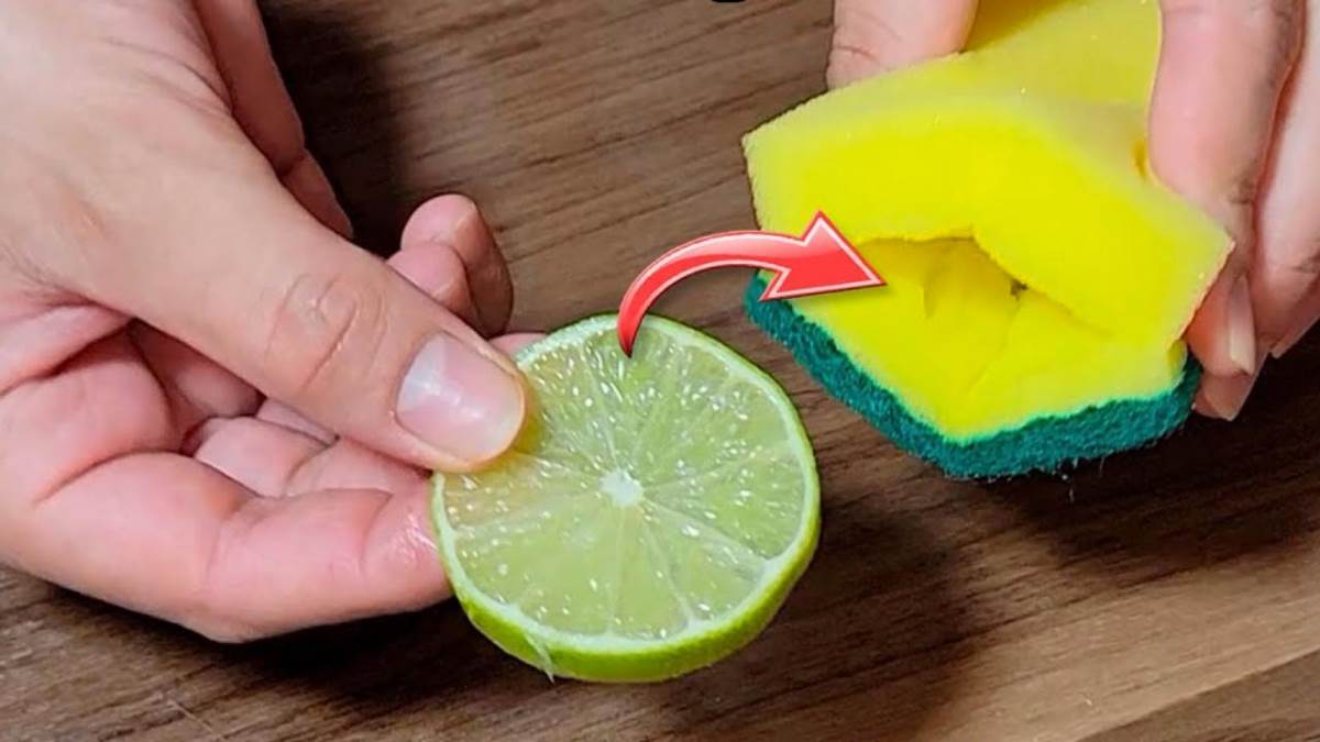 Mettez une tranche de citron dans l'éponge à vaisselle, car beaucoup de gens le font.