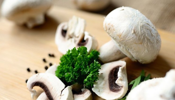 Champignons, comment les cultiver dans la taverne : la méthode pour les amener de la cave à la cuisine