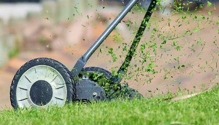 Fini les mauvaises herbes au jardin avec ce remède naturel et immédiatement efficace