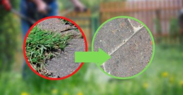 Fini les mauvaises herbes au jardin avec ce remède naturel et immédiatement efficace