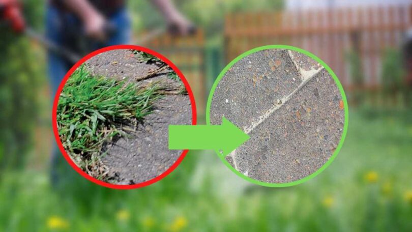 Fini les mauvaises herbes au jardin avec ce remède naturel et immédiatement efficace