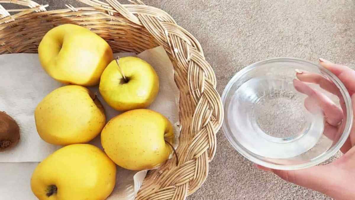 Adieu les moucherons sur les fruits, avec ce remède naturel vous vous en débarrasserez en un rien de temps.